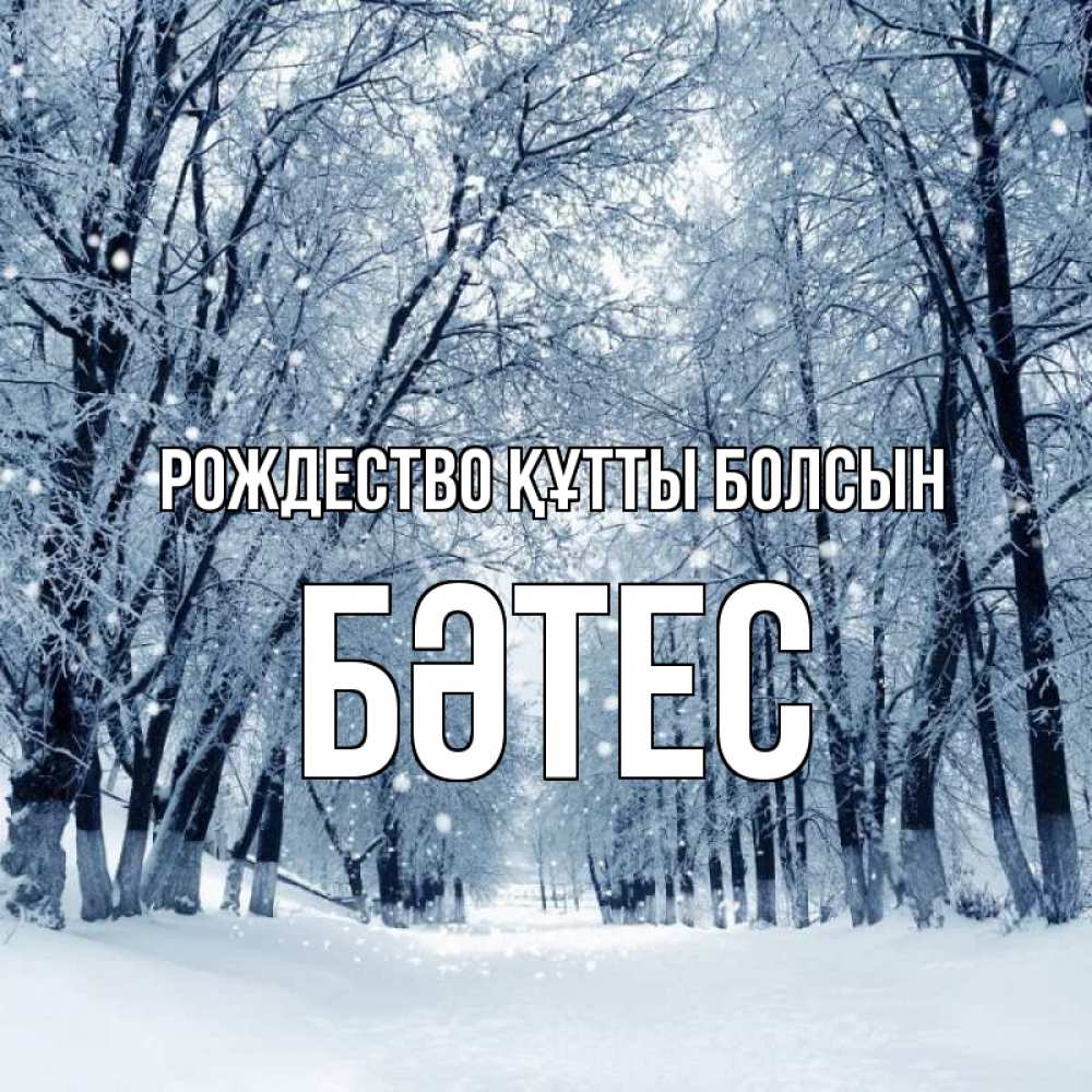 Күн сайын ашық хат с именем, БӘТЕС Рождество құтты болсын снег, лес, парк Онлайн тегін жүктеп алу тілектері бар керемет карта 