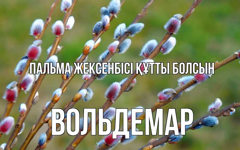 Күн сайын ашық хат с именем, Вольдемар Пальма жексенбісі құтты болсын верба Онлайн тегін жүктеп алу тілектері бар керемет карта 