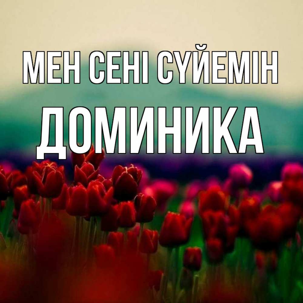 Күн сайын ашық хат с именем, Доминика Мен сені сүйемін тюльпаны 4 Онлайн тегін жүктеп алу тілектері бар керемет карта 