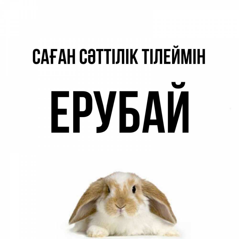 Күн сайын ашық хат с именем, Ерубай Саған сәттілік тілеймін открытки с произвольным текстом который можно вставить в открытку и создать ее самостоятельно бесплатно онлайн Онлайн тегін жүктеп алу тілектері бар керемет карта 
