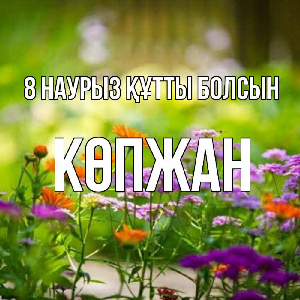 Күн сайын ашық хат с именем, Көпжан 8 наурыз құтты болсын цветы Онлайн тегін жүктеп алу тілектері бар керемет карта 