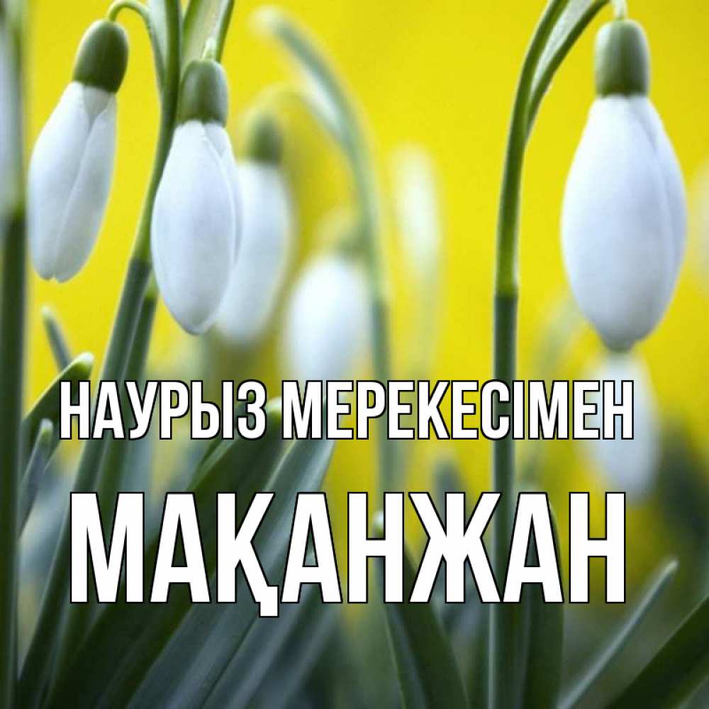 Күн сайын ашық хат с именем, Мақанжан Наурыз мерекесімен весенние цветы Онлайн тегін жүктеп алу тілектері бар керемет карта 