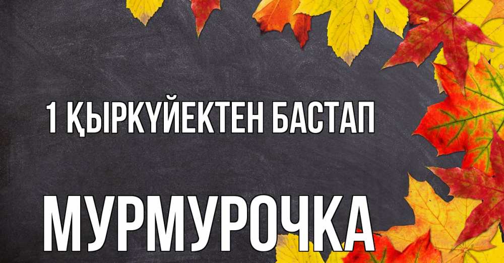 Күн сайын ашық хат с именем, Мурмурочка 1 қыркүйектен бастап с днем знаний Онлайн тегін жүктеп алу тілектері бар керемет карта 