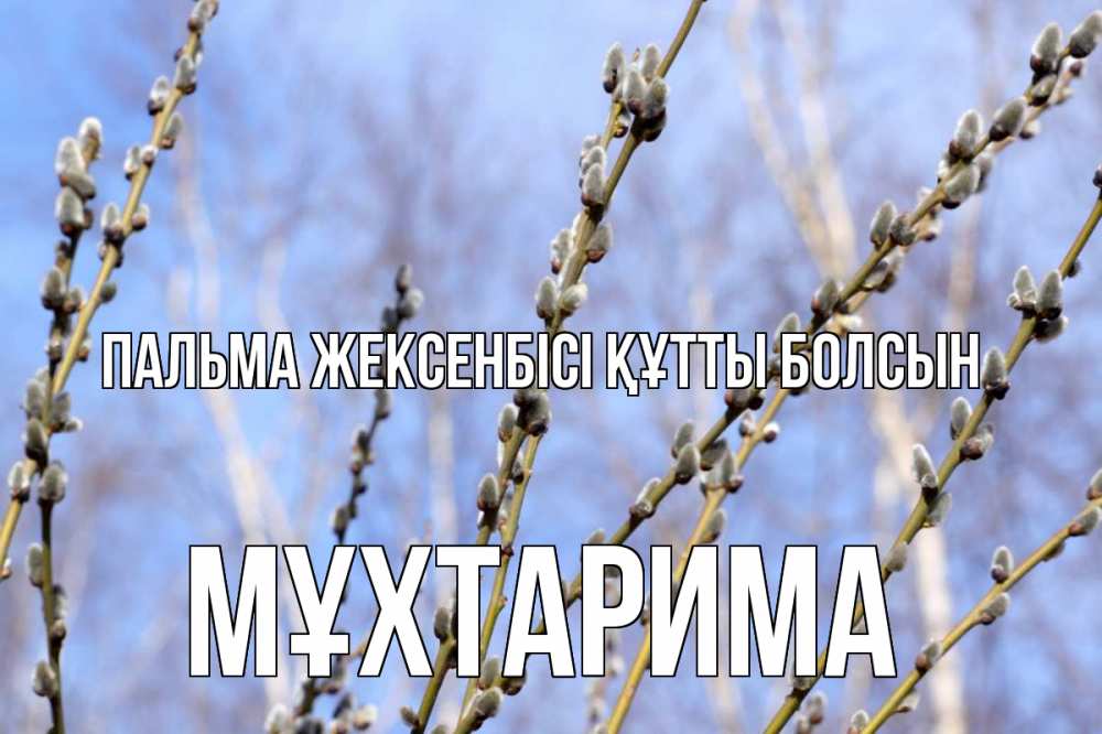 Күн сайын ашық хат с именем, МҰХТАРИМА Пальма жексенбісі құтты болсын верба Онлайн тегін жүктеп алу тілектері бар керемет карта 