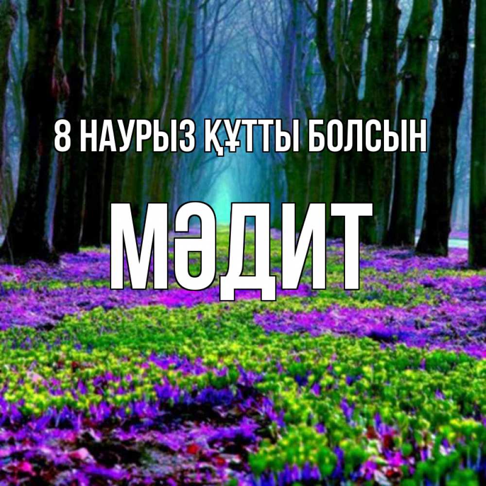 Күн сайын ашық хат с именем, МӘДИТ 8 наурыз құтты болсын фиолетовые цветы в лесу 1 Онлайн тегін жүктеп алу тілектері бар керемет карта 