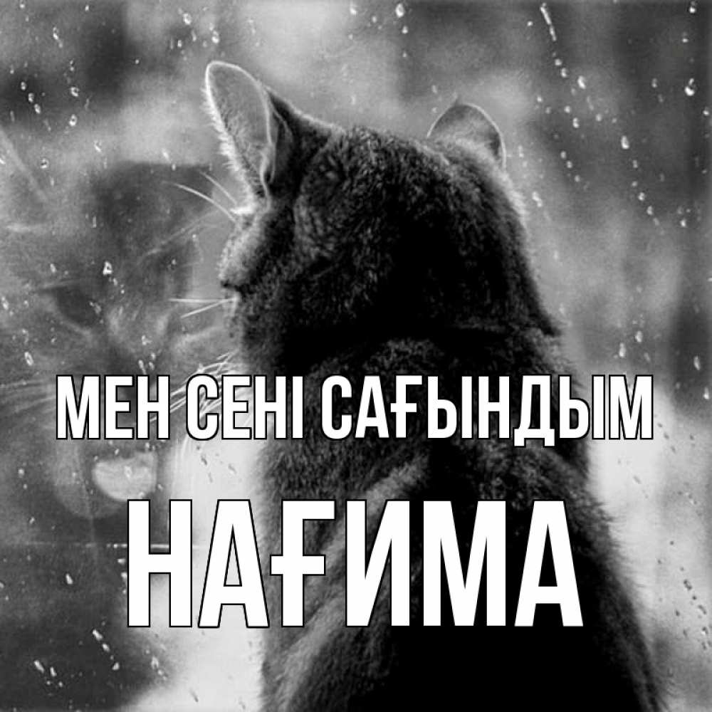 Күн сайын ашық хат с именем, НАҒИМА Мен сені сағындым скорее ко мне приходи 1 Онлайн тегін жүктеп алу тілектері бар керемет карта 