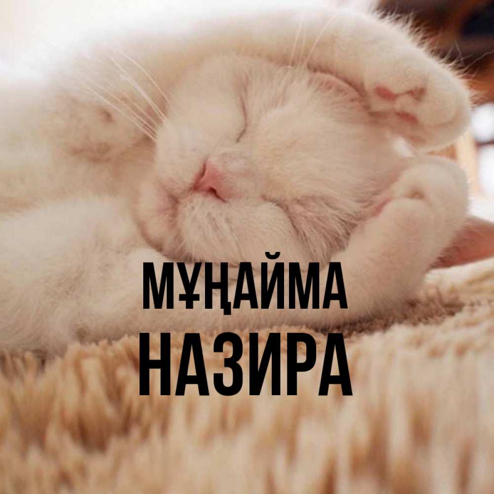 Күн сайын ашық хат с именем, Назира Мұңайма Котенок спит Онлайн тегін жүктеп алу тілектері бар керемет карта 