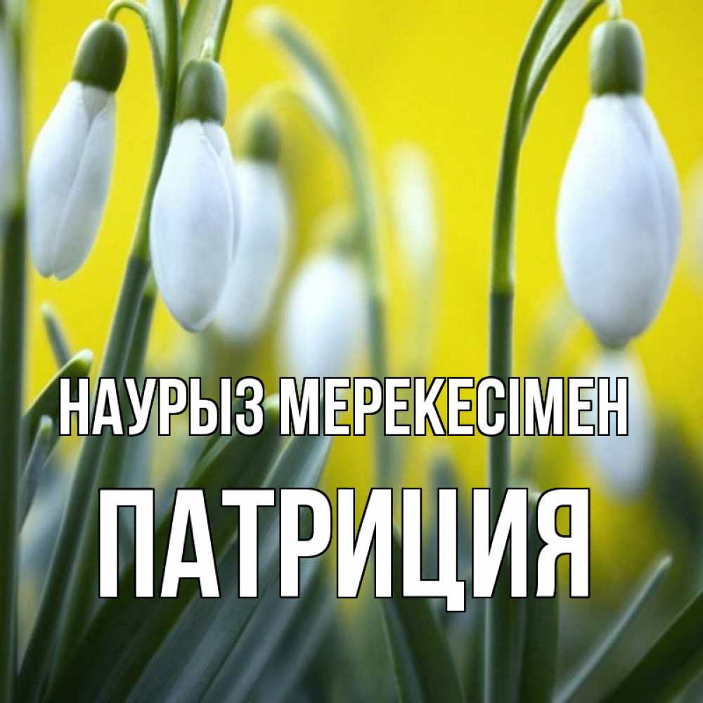 Күн сайын ашық хат с именем, Патриция Наурыз мерекесімен весенние цветы Онлайн тегін жүктеп алу тілектері бар керемет карта 