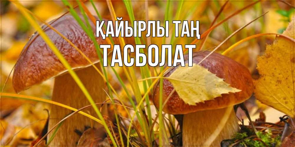 Күн сайын ашық хат с именем, ТАСБОЛАТ Қайырлы таң осенние грибы Онлайн тегін жүктеп алу тілектері бар керемет карта 