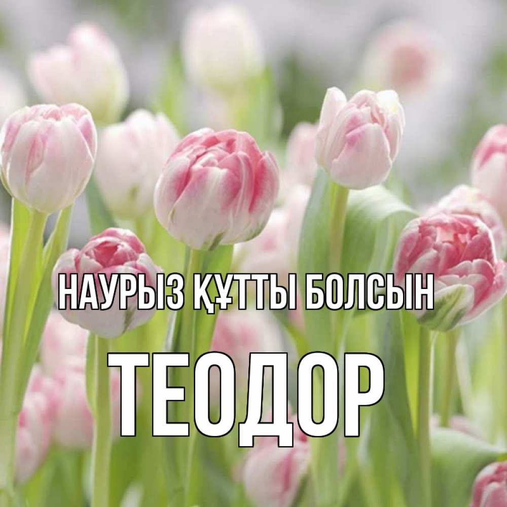 Күн сайын ашық хат с именем, Теодор Наурыз құтты болсын цветы Онлайн тегін жүктеп алу тілектері бар керемет карта 