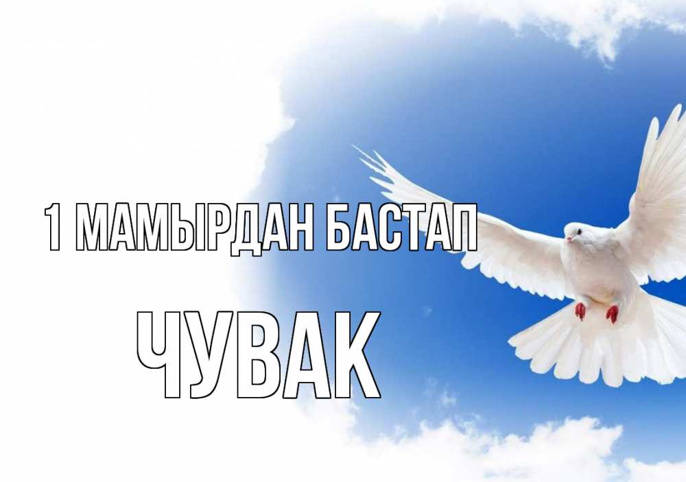 Күн сайын ашық хат с именем, Чувак 1 мамырдан бастап С 1 мая Онлайн тегін жүктеп алу тілектері бар керемет карта 