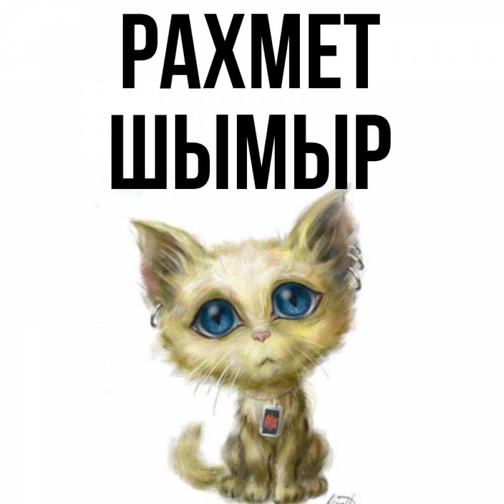 Күн сайын ашық хат с именем, ШЫМЫР рахмет рисованный кот благодарит вас Онлайн тегін жүктеп алу тілектері бар керемет карта 