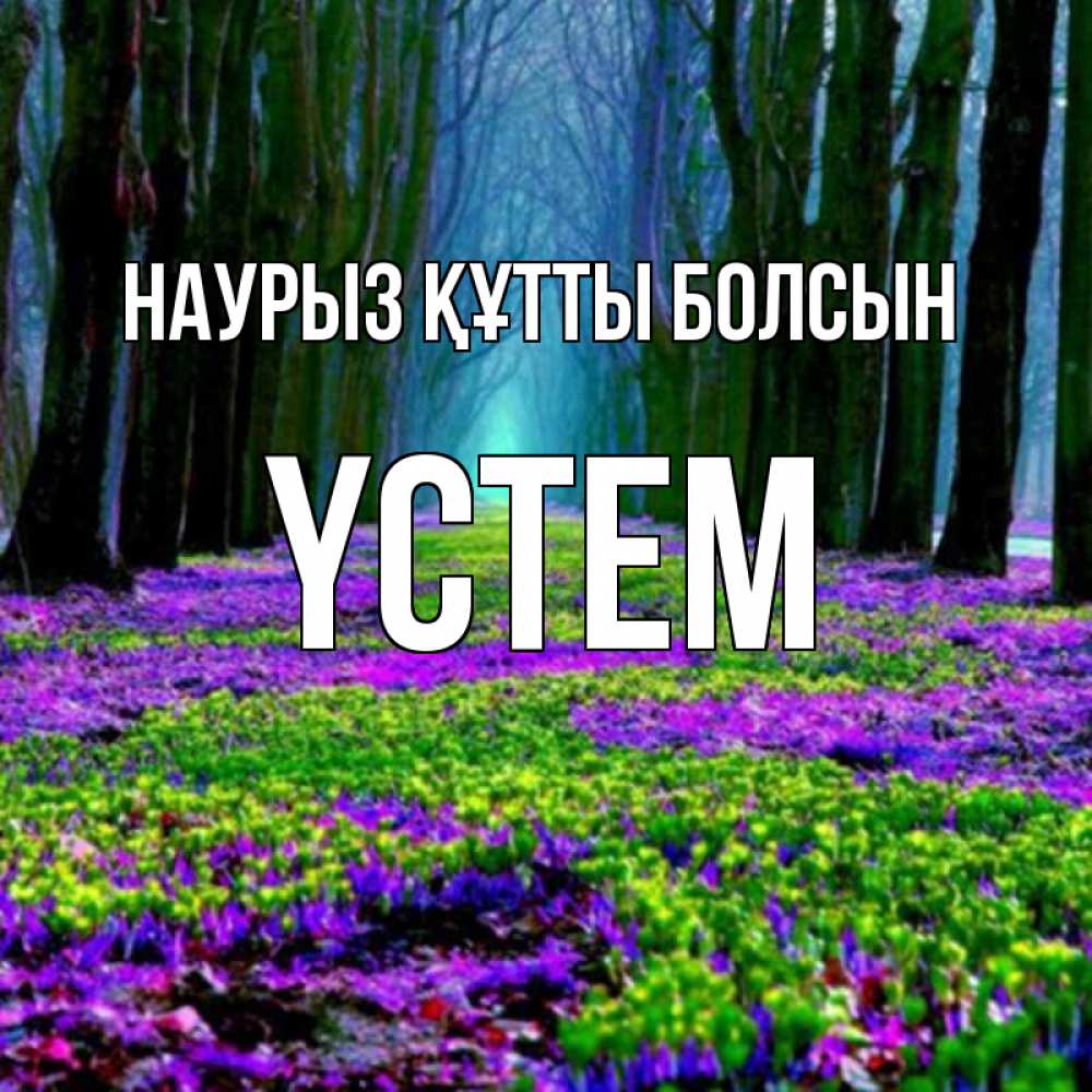 Күн сайын ашық хат с именем, ҮСТЕМ Наурыз құтты болсын фиолетовые цветы в лесу 1 Онлайн тегін жүктеп алу тілектері бар керемет карта 