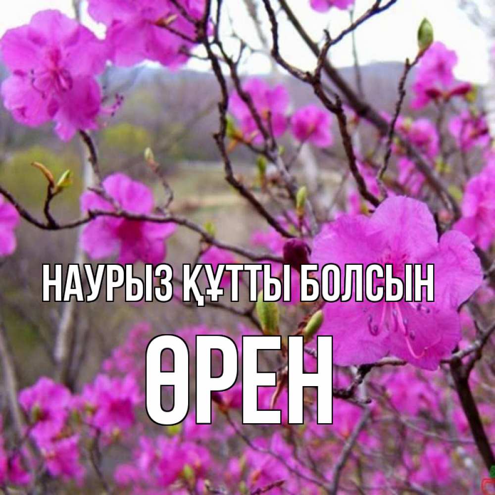 Күн сайын ашық хат с именем, ӨРЕН Наурыз құтты болсын наурыз мейрамы кутты болсын Онлайн тегін жүктеп алу тілектері бар керемет карта 
