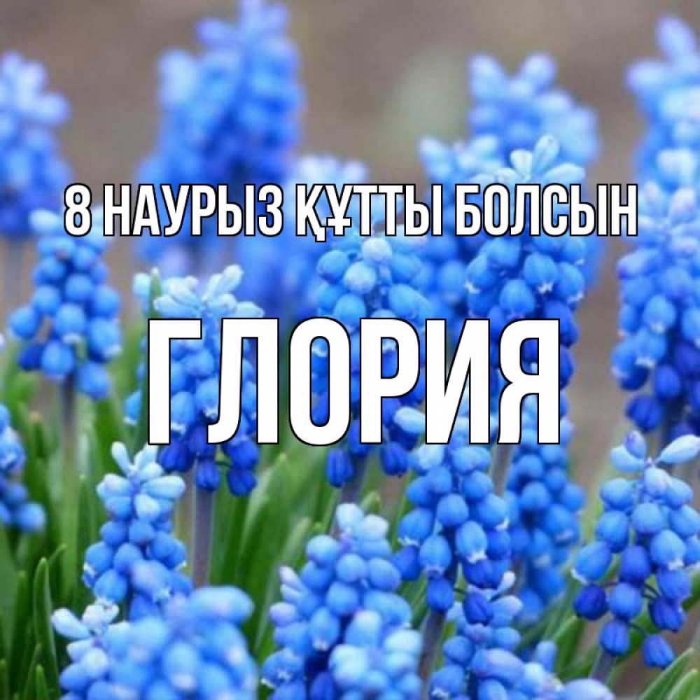Күн сайын ашық хат с именем, Глория 8 наурыз құтты болсын Поздравительная открытка для женщин с цветами на праздничную дату Онлайн тегін жүктеп алу тілектері бар керемет карта 