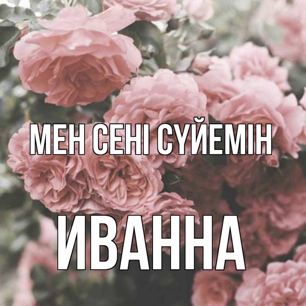 Күн сайын ашық хат с именем, Иванна Мен сені сүйемін розы 3 Онлайн тегін жүктеп алу тілектері бар керемет карта 