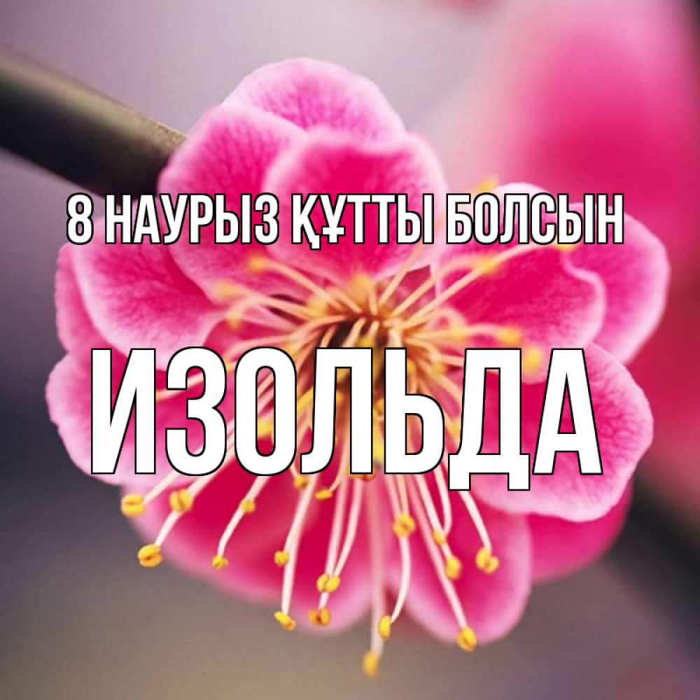 Күн сайын ашық хат с именем, Изольда 8 наурыз құтты болсын цветы Онлайн тегін жүктеп алу тілектері бар керемет карта 