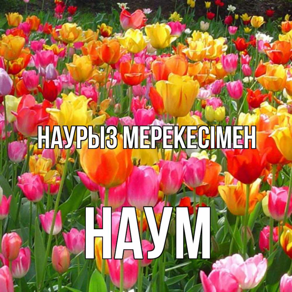 Күн сайын ашық хат с именем, Наум Наурыз мерекесімен праздник весны наурыз 4 Онлайн тегін жүктеп алу тілектері бар керемет карта 