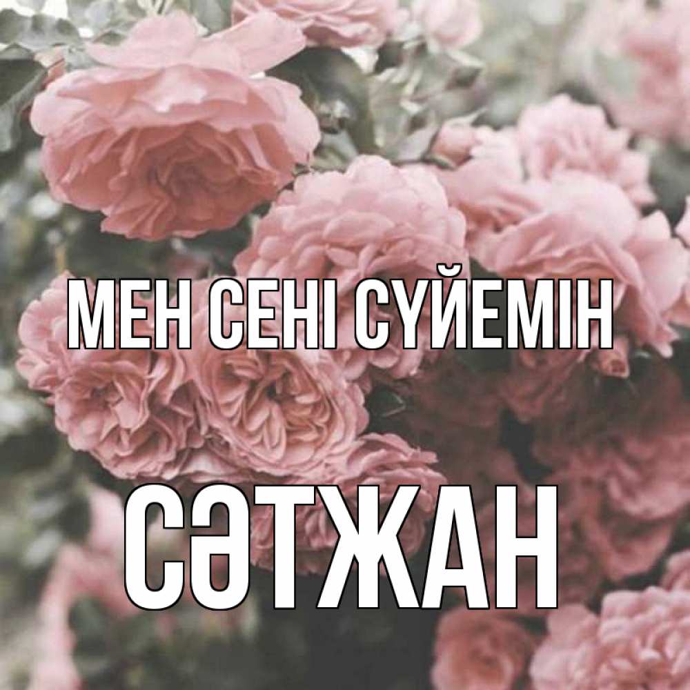 Күн сайын ашық хат с именем, СӘТЖАН Мен сені сүйемін розы 3 Онлайн тегін жүктеп алу тілектері бар керемет карта 
