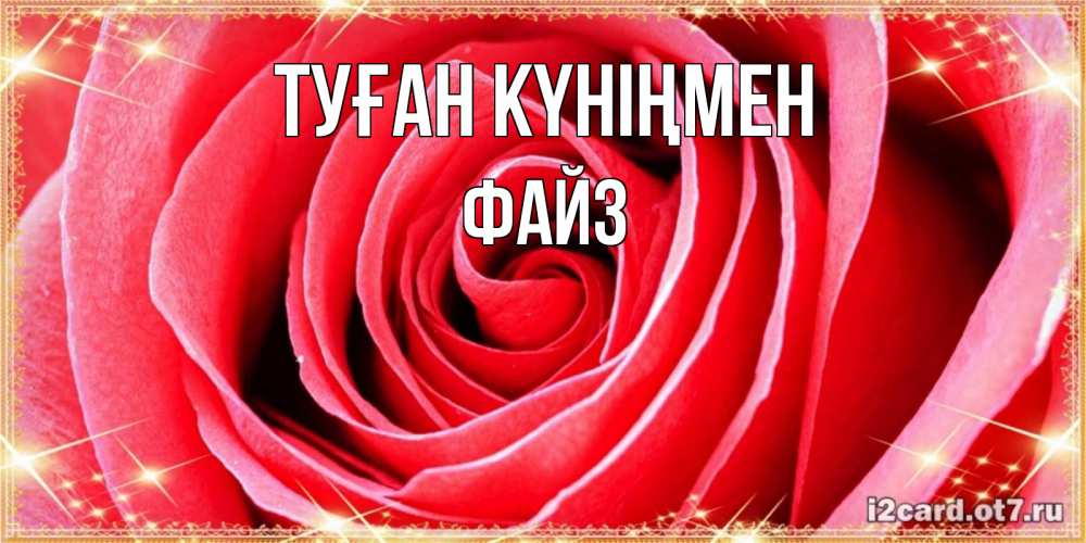 Күн сайын ашық хат с именем, ФАЙЗ Туған күніңмен розовая роза очень крупный бутон Онлайн тегін жүктеп алу тілектері бар керемет карта 