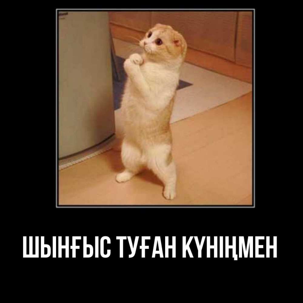 Картинка  с именем , ШЫНҒЫС! ТУҒАН КҮНІҢМЕН!