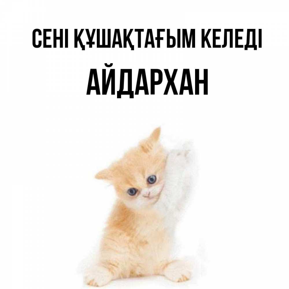 Күн сайын ашық хат с именем, Айдархан сені құшақтағым келеді я хочу очень скорее обнимаешек Онлайн тегін жүктеп алу тілектері бар керемет карта 