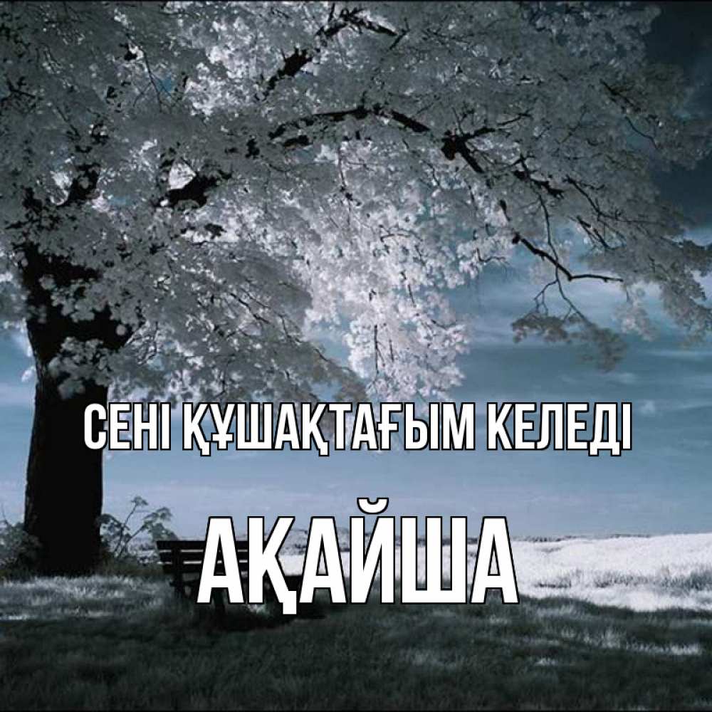 Күн сайын ашық хат с именем, АҚАЙША сені құшақтағым келеді дерево Онлайн тегін жүктеп алу тілектері бар керемет карта 