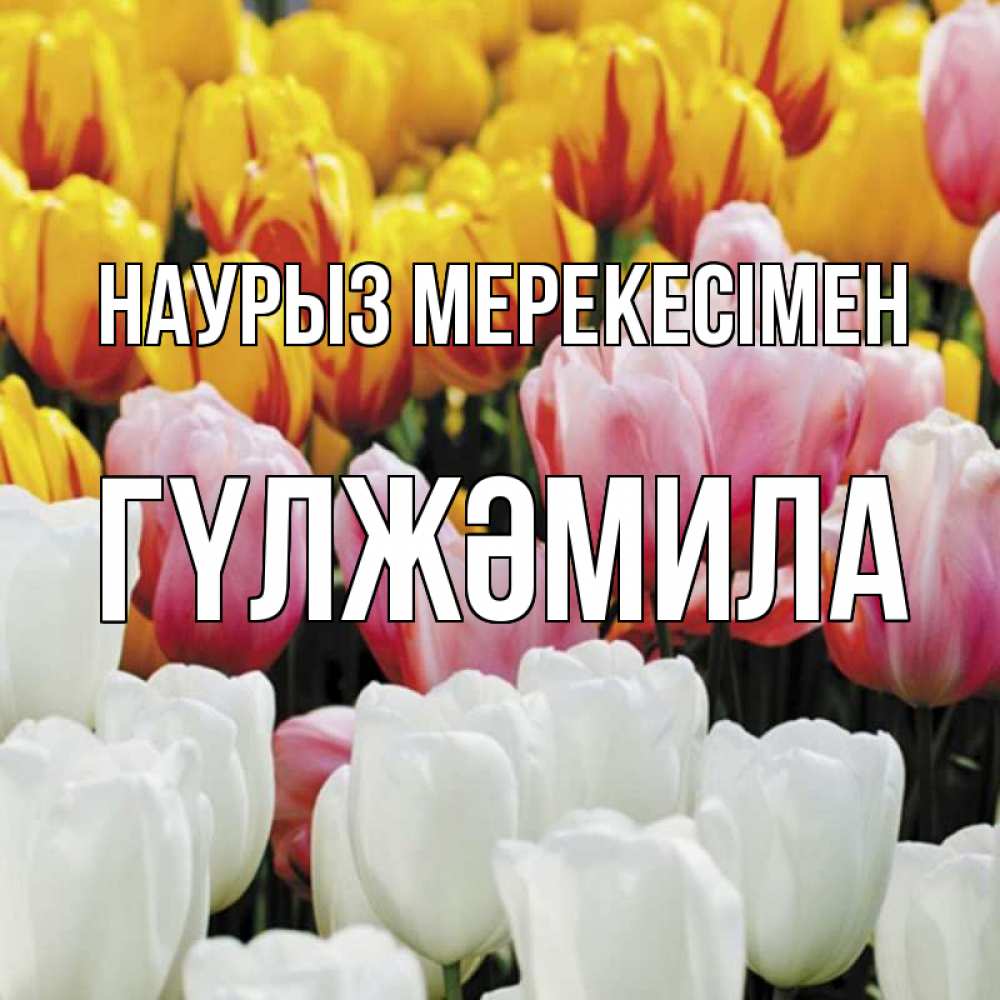 Күн сайын ашық хат с именем, ГҮЛЖӘМИЛА Наурыз мерекесімен разноцветные цветы Онлайн тегін жүктеп алу тілектері бар керемет карта 