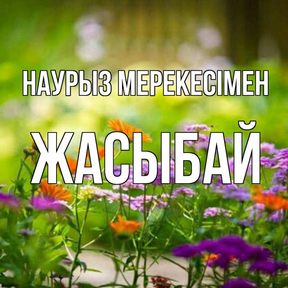 Күн сайын ашық хат с именем, Жасыбай Наурыз мерекесімен цветы Онлайн тегін жүктеп алу тілектері бар керемет карта 