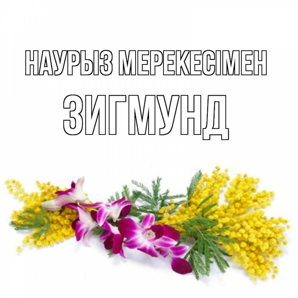 Күн сайын ашық хат с именем, Зигмунд Наурыз мерекесімен открытка на международный женский день с цветами  1 Онлайн тегін жүктеп алу тілектері бар керемет карта 