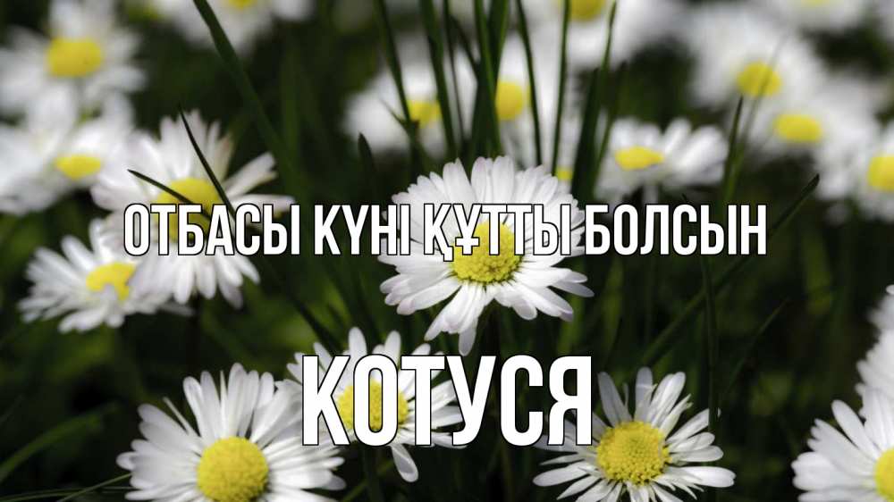 Күн сайын ашық хат с именем, Котуся отбасы күні құтты болсын с днем семьи  2 Онлайн тегін жүктеп алу тілектері бар керемет карта 