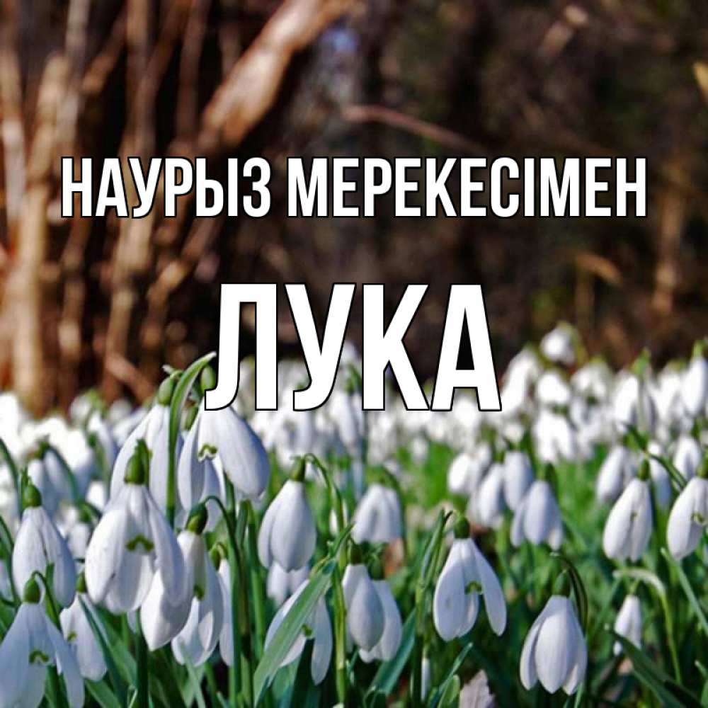Күн сайын ашық хат с именем, Лука Наурыз мерекесімен с подснежниками 1 Онлайн тегін жүктеп алу тілектері бар керемет карта 