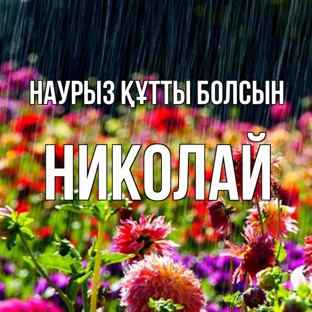 Күн сайын ашық хат с именем, Николай Наурыз құтты болсын цветы под дождиком к наурызу Онлайн тегін жүктеп алу тілектері бар керемет карта 