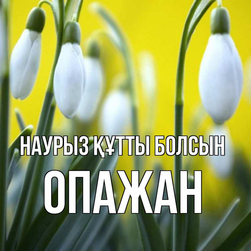 Күн сайын ашық хат с именем, ОПАЖАН Наурыз құтты болсын весенние цветы Онлайн тегін жүктеп алу тілектері бар керемет карта 