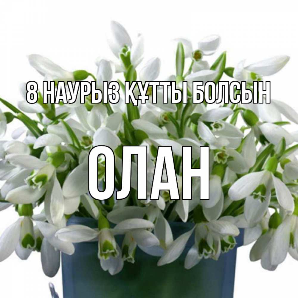 Күн сайын ашық хат с именем, Олан 8 наурыз құтты болсын цветы к международному женскому дню Онлайн тегін жүктеп алу тілектері бар керемет карта 