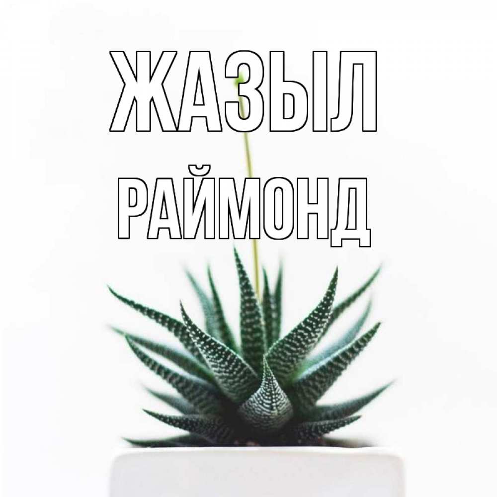 Күн сайын ашық хат с именем, Раймонд Жазыл короче это непонятная колючка Онлайн тегін жүктеп алу тілектері бар керемет карта 