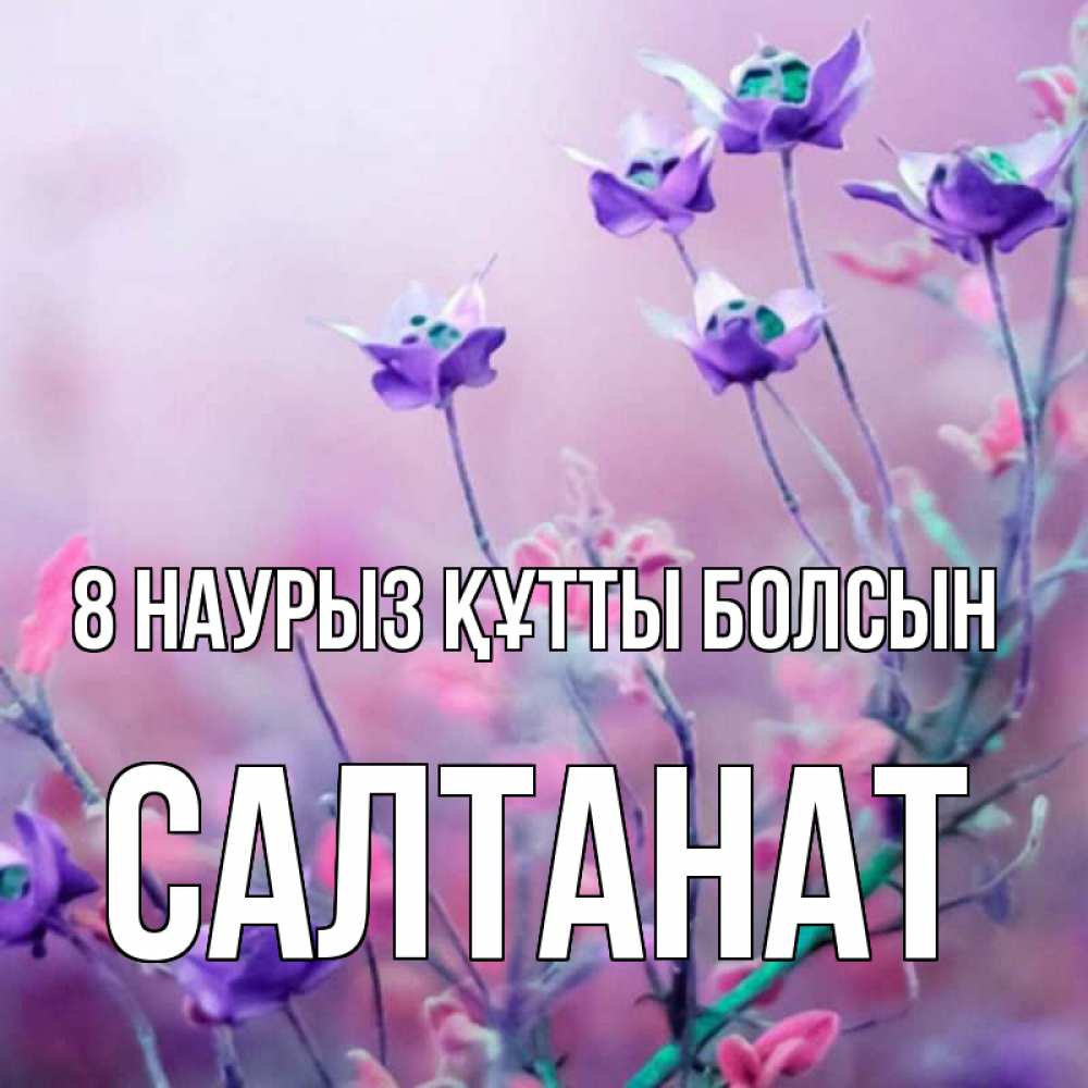 Күн сайын ашық хат с именем, САЛТАНАТ 8 наурыз құтты болсын международный женский день 2 Онлайн тегін жүктеп алу тілектері бар керемет карта 