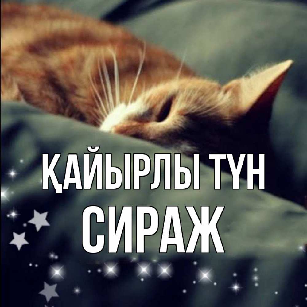 Күн сайын ашық хат с именем, СИРАЖ Қайырлы түн кроватка Онлайн тегін жүктеп алу тілектері бар керемет карта 