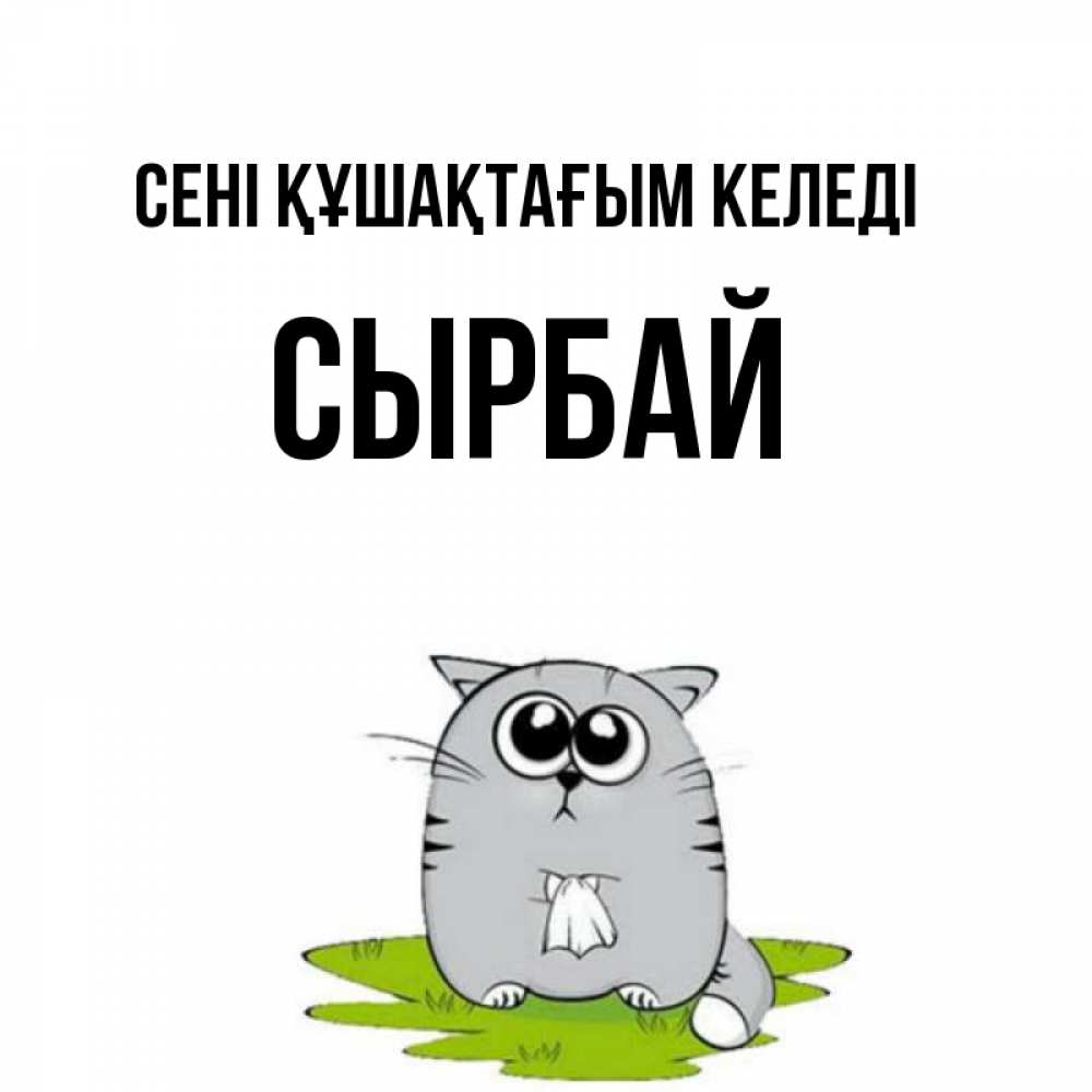 Күн сайын ашық хат с именем, СЫРБАЙ сені құшақтағым келеді котик теребит платочек сидя на травке Онлайн тегін жүктеп алу тілектері бар керемет карта 