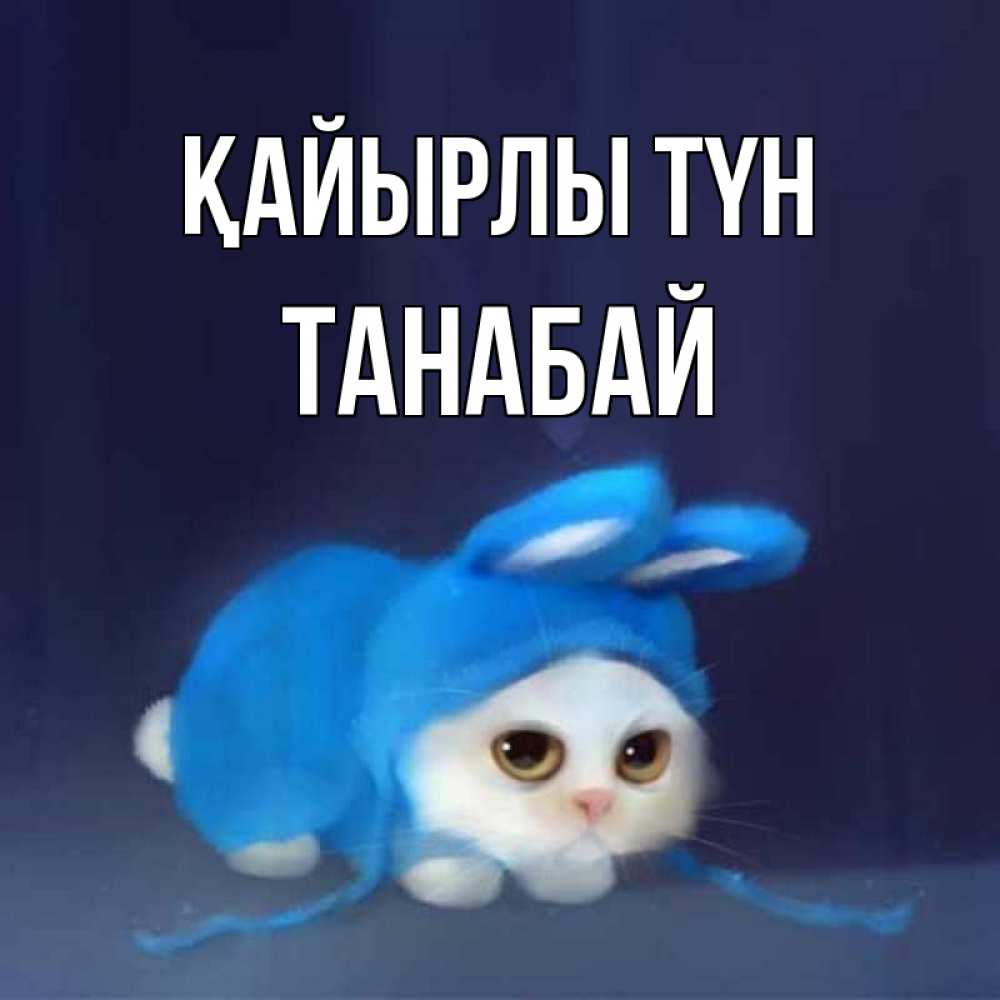 Күн сайын ашық хат с именем, ТАНАБАЙ Қайырлы түн кот в голубом костюме кролика с ушками Онлайн тегін жүктеп алу тілектері бар керемет карта 