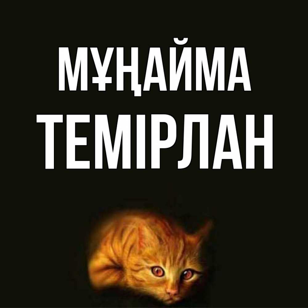 Күн сайын ашық хат с именем, ТЕМІРЛАН Мұңайма лежащий кот в темноте Онлайн тегін жүктеп алу тілектері бар керемет карта 