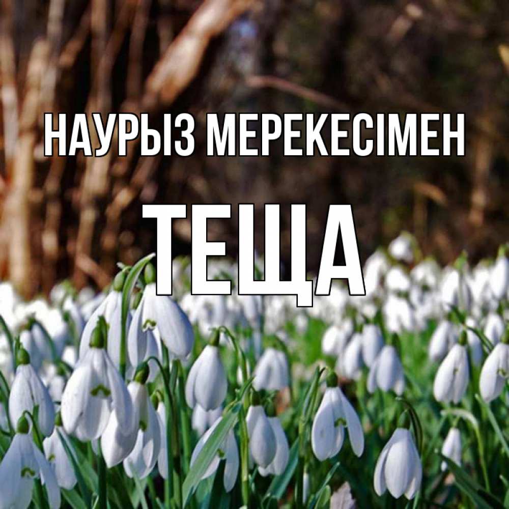 Күн сайын ашық хат с именем, Теща Наурыз мерекесімен с подснежниками 1 Онлайн тегін жүктеп алу тілектері бар керемет карта 