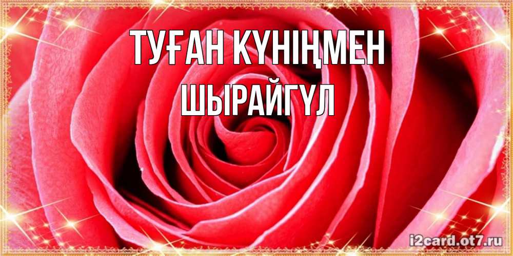 Күн сайын ашық хат с именем, ШЫРАЙГҮЛ Туған күніңмен розовая роза очень крупный бутон Онлайн тегін жүктеп алу тілектері бар керемет карта 