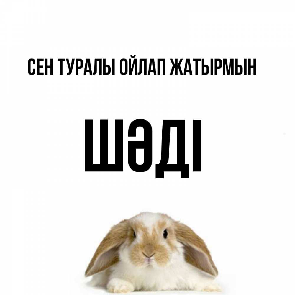 Күн сайын ашық хат с именем, ШӘДІ Сен туралы ойлап жатырмын подписать своими руками онлайн Онлайн тегін жүктеп алу тілектері бар керемет карта 