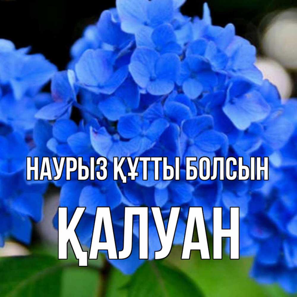 Күн сайын ашық хат с именем, ҚАЛУАН Наурыз құтты болсын синие цветы Онлайн тегін жүктеп алу тілектері бар керемет карта 