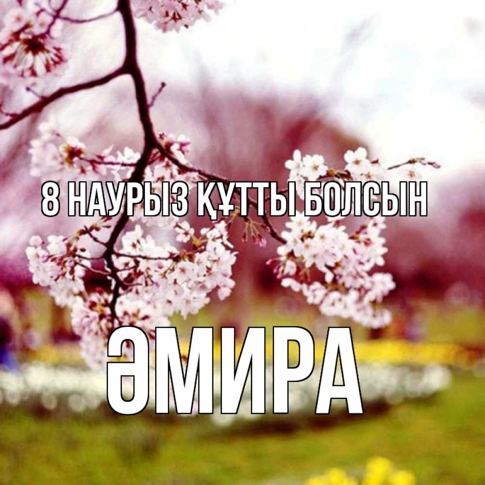 Күн сайын ашық хат с именем, ӘМИРА 8 наурыз құтты болсын яблоня Онлайн тегін жүктеп алу тілектері бар керемет карта 