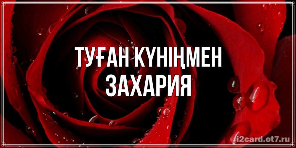 Күн сайын ашық хат с именем, Захария Туған күніңмен крупная бордовая роза Онлайн тегін жүктеп алу тілектері бар керемет карта 