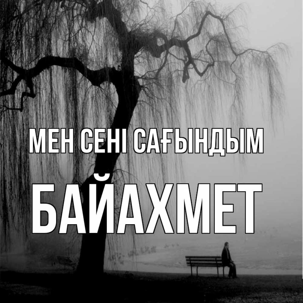 Күн сайын ашық хат с именем, Байахмет Мен сені сағындым лавочка под деревом я жду тебя Онлайн тегін жүктеп алу тілектері бар керемет карта 