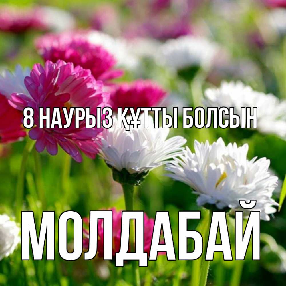 Күн сайын ашық хат с именем, МОЛДАБАЙ 8 наурыз құтты болсын международный женский день 1 Онлайн тегін жүктеп алу тілектері бар керемет карта 