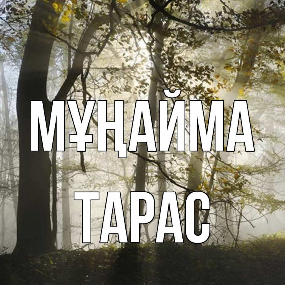 Күн сайын ашық хат с именем, Тарас Мұңайма лес и свет Онлайн тегін жүктеп алу тілектері бар керемет карта 